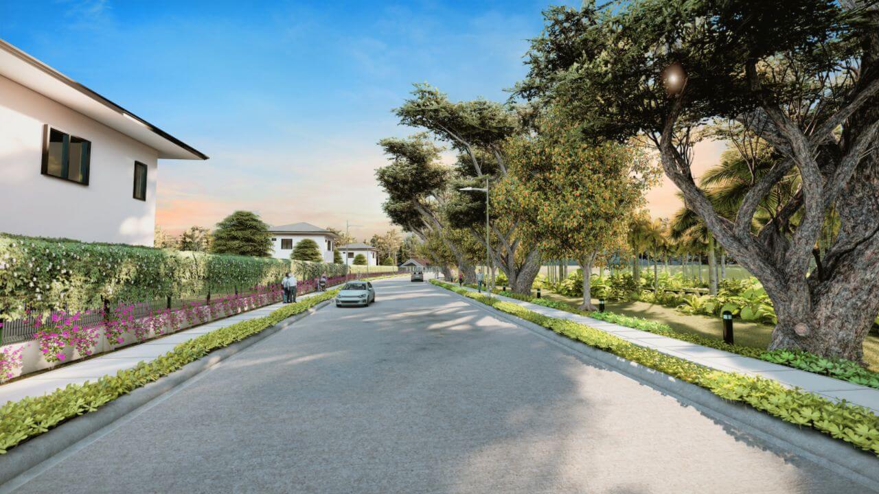 Terreno South Main Spine Road_